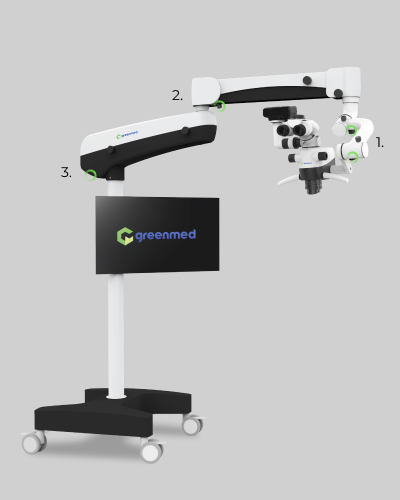 В полный рост-1.jpg