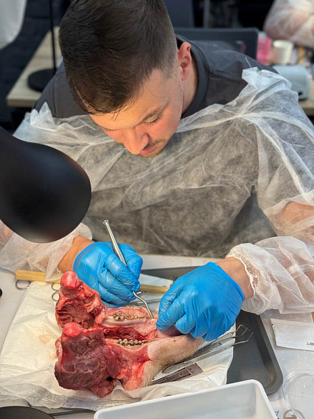 гузеев 25-26-11.jpg